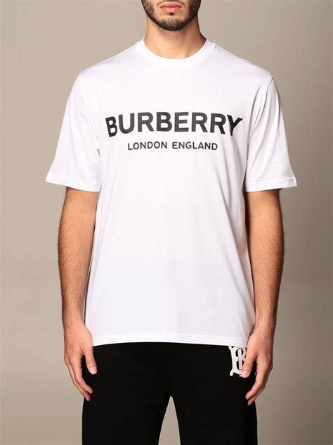 burberry t shirts white